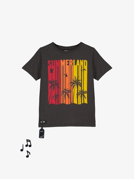 SS230002-SUMMER PALMS