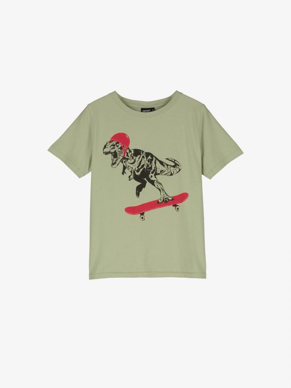SS230023-DINO