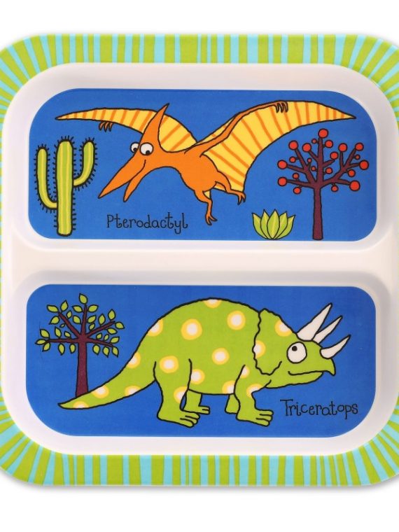 bold_dinosaurs_melamine_plate_1